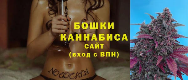 СК Гатчина