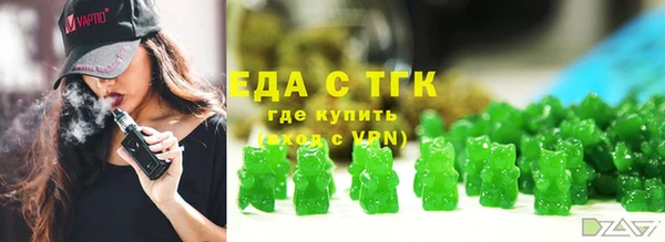 СК Гатчина