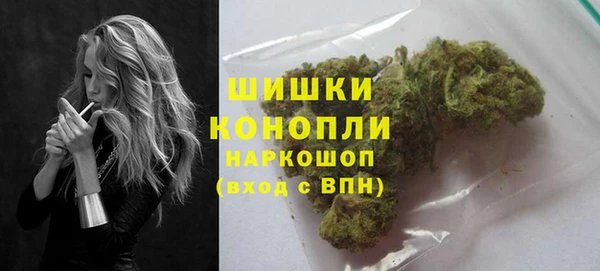 прущая мука Галич