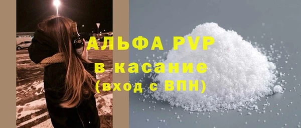 СК Гатчина