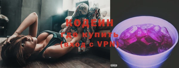 СК Гатчина