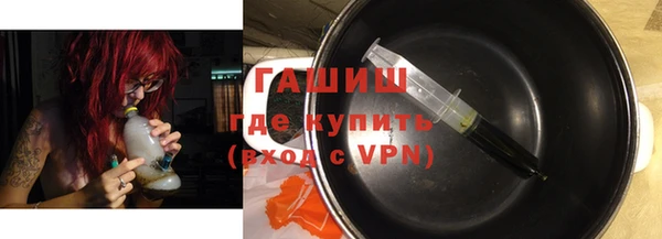 СК Гатчина