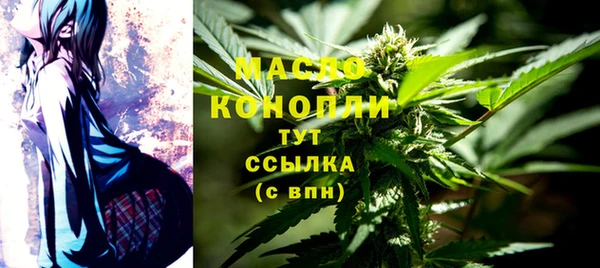 СК Гатчина