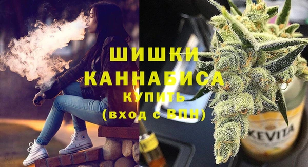 СК Гатчина