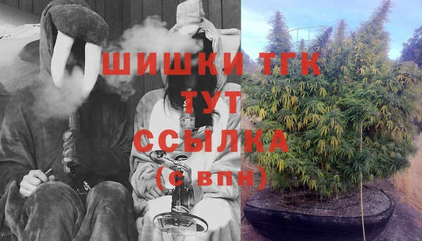 СК Гатчина