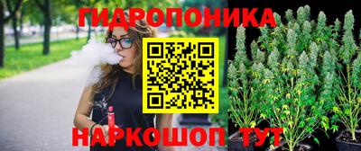 каннабис Гатчина