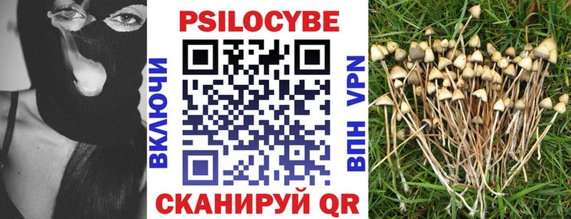 Галлюциногенные грибы MAGIC MUSHROOMS  как найти наркотики  Заречный 