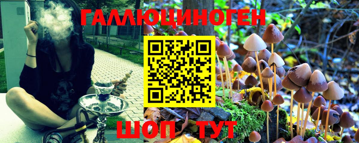 Псилоцибиновые грибы Psilocybine cubensis Заречный