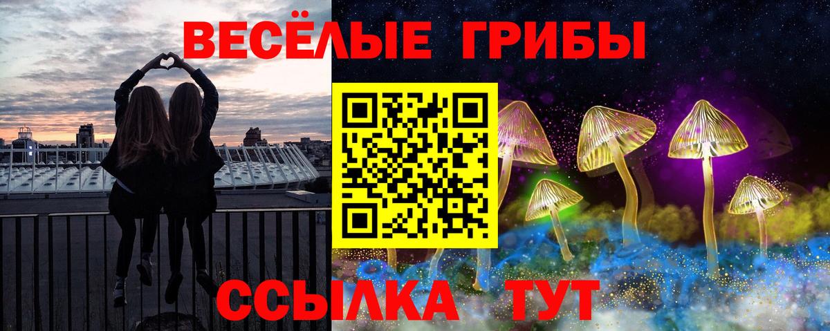 Галлюциногенные грибы Psilocybine cubensis  Вход с VPN  Псилоцибиновые грибы ЛСД  Заречный 